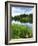 Loughrigg Tarn, Lake District National Park, Cumbria, England, United Kingdom, Europe-Jeremy Lightfoot-Framed Photographic Print