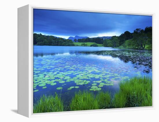 Loughrigg Tarn, Lake District National Park, Cumbria, England, United Kingdom, Europe-Jeremy Lightfoot-Framed Premier Image Canvas