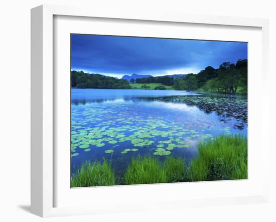 Loughrigg Tarn, Lake District National Park, Cumbria, England, United Kingdom, Europe-Jeremy Lightfoot-Framed Photographic Print