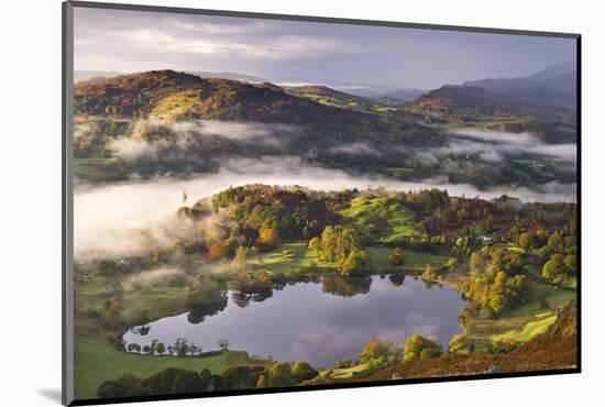 Loughrigg Tarn Surrounded by Misty Autumnal Countryside, Lake District, Cumbria-Adam Burton-Mounted Photographic Print