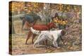 Stretched Canvas Print