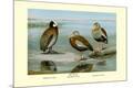 Premium Giclee Print