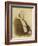 Louis Agassiz, Swiss-American Polymath-Science Source-Framed Giclee Print