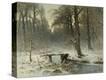 Stretched Canvas Print