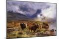 Premium Giclee Print