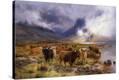 Stretched Canvas Print