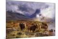 Giclee Print