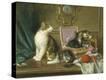 Stretched Canvas Print