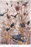 The Rookery, Illustration from 'Country Ways and Country Days'-Louis Fairfax Muckley-Giclee Print