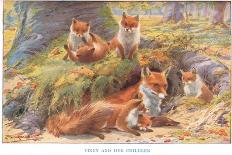 Vixen and Her Children, Illustration from 'Country Ways and Country Days'-Louis Fairfax Muckley-Giclee Print