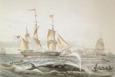 Whaling Off the Cape of Good Hope-Louis Lebreton-Framed Premier Image Canvas