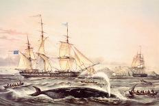 Whaling Off the Cape of Good Hope-Louis Lebreton-Premium Giclee Print