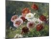 Premium Photographic Print