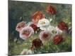Premium Photographic Print