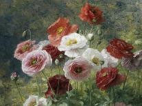 Poppies-Louis Marie Lemaire-Photographic Print