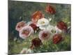 Photographic Print