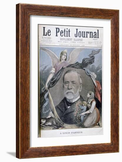 Louis Pasteur, French Chemist, 1895-Henri Meyer-Framed Giclee Print