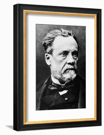 Louis Pasteur, French Microbiologist-Science Photo Library-Framed Photographic Print