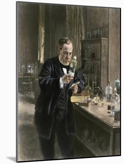 Louis Pasteur in His Laboratory-null-Mounted Giclee Print