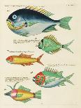 Renard Tropical Fish III-Louis Renard-Framed Art Print