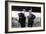 Louis Renault and Henri Brasier, 1908-null-Framed Photographic Print