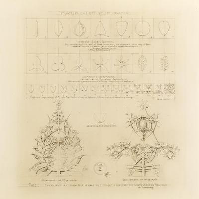 System of Architectural Ornament: Plate 2, Manipulation of the