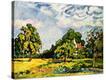 Stretched Canvas Print