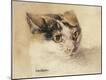 Giclee Print