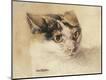 Giclee Print