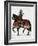 Louis XII, King of France, on Horseback, 1498-1515 (1882-188)-Gautier-Framed Giclee Print