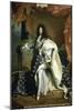 Louis XIV, King of France, c.1701-Hyacinthe Rigaud-Mounted Giclee Print