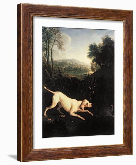 Louis XIV's Dog, Tane-Alexandre-Francois Desportes-Framed Giclee Print