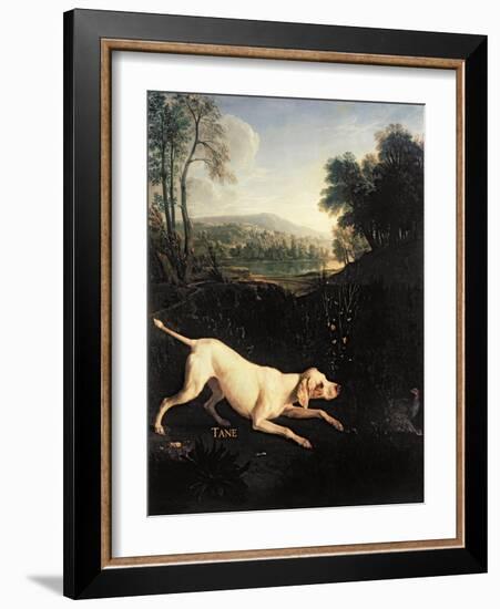 Louis XIV's Dog, Tane-Alexandre-Francois Desportes-Framed Giclee Print