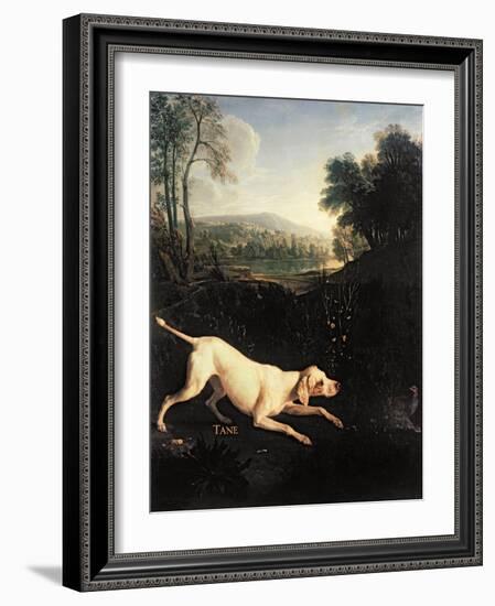 Louis XIV's Dog, Tane-Alexandre-Francois Desportes-Framed Giclee Print