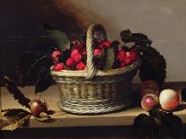 Still Life with a Basket of Fruit and a Bunch of Asparagus, 1630-Louise Moillon-Framed Giclee Print