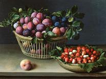 Basket of Blackberries and Raspberries (Oil on Canvas)-Louise Moillon-Framed Giclee Print