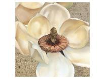 Magnolia Masterpiece II-Louise Montillio-Art Print