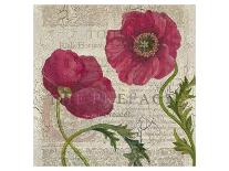 Poppy Pages Square I-Louise Montillio-Art Print