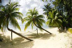 Tropical Island Beach with Hammock at Matangi Island Resort, Vanua Levu, Fiji, Pacific-Louise Murray-Photographic Print