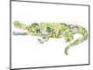 Giclee Print