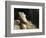 Louise Vernet, the Wife of the Artist on His Deathbed-Paul Delaroche-Framed Giclee Print