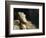 Louise Vernet, the Wife of the Artist on His Deathbed-Paul Delaroche-Framed Giclee Print