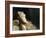 Louise Vernet, the Wife of the Artist on His Deathbed-Paul Delaroche-Framed Giclee Print