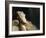 Louise Vernet, the Wife of the Artist on His Deathbed-Paul Delaroche-Framed Giclee Print