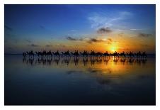 Sunset Camel Ride-Louise Wolbers-Framed Photographic Print