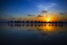 Sunset Camel Ride-Louise Wolbers-Framed Photographic Print