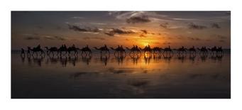 Sunset Camel Ride-Louise Wolbers-Framed Giclee Print