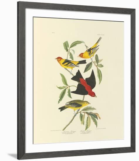 Louisiana and Scarlet Tanager-John James Audubon-Framed Premium Giclee Print