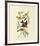 Louisiana and Scarlet Tanager-John James Audubon-Framed Premium Giclee Print