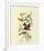 Louisiana and Scarlet Tanager-John James Audubon-Framed Premium Giclee Print
